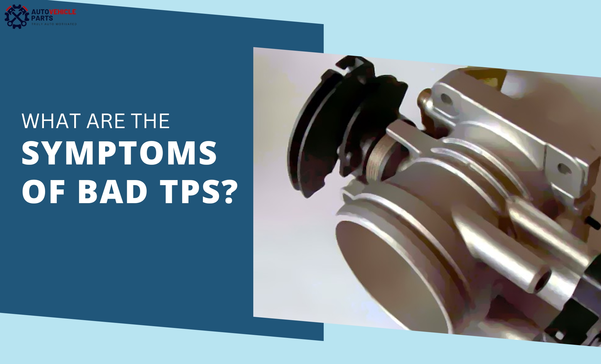Throttle Position Sensor Test How To Do It? Auto Vehicle Parts 